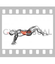 Lying Knee Roll Over Stretch