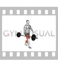 Barbell Suitcase Carry