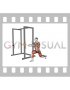 Resistance Band Alternating Split Stance Pallof Press