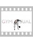 Kettlebell Side Swing