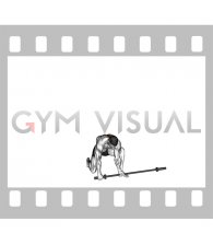Barbell Half Kneeling Thor Lift (male)