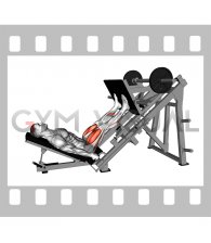Sled Alternating Single Leg Negative Press