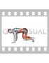 Bear Plank Floating Leg Extension (male)