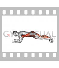 Plank Knee Tap (male)