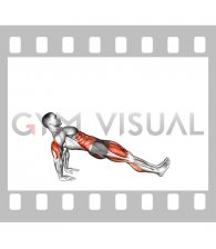 Reverse Plank Leg Lift (male)