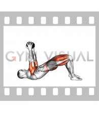 Weighted Dumbbell Bridge March (male)
