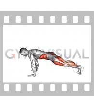 Plank Jump In Squat (male)
