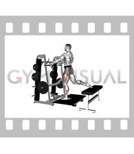 Lever Belt Bulgarian Split Squat