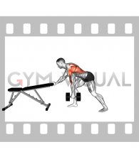 Dumbbell Kroc Row (male)