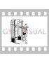 Cable Standing Fly Hugs