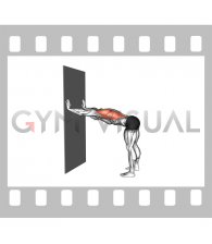 Lat Stretch against Wall (male)