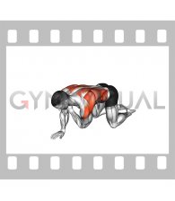 Kneeling Upper Back Rotation (Shoulder Touch)