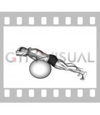 Hyperextension on a Exercise Ball