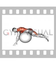 Swimmer Kick over Exercise Ball (male)