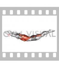 Superman Swing (male)