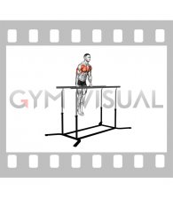 Chest Dip on Straight Bar