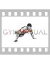Kneeling Wide Hand Push Up