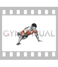 Kneeling Wide Hand Push Up