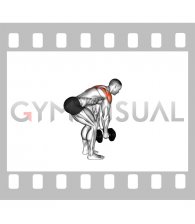 Dumbbell Bent Over Alternate Rear Delt Fly