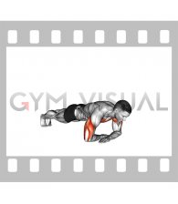 Cross Arms Push up