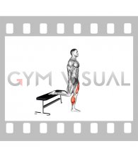Bulgarian Jump Squat