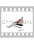 Seated Alternate Crunch