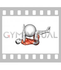 Dead Bug with Stability Ball