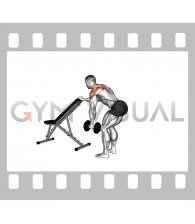 Dumbbell One Arm Reverse Fly (with support) (VERSION 2)