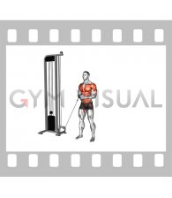 Cable horizontal Pallof Press (VERSION 2)