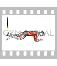 Suspender Single Leg Plank (straight arm)