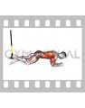 Suspender Single Leg Plank (straight arm)