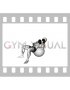 Dumbbell Incline One Arm Hammer Press on Exercise Ball