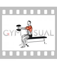 Dumbbell Seated Upright Alternate Squeeze Press