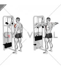 Lever Standing Lateral Raise (male)