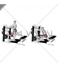 Lever Belt Bulgarian Split Squat