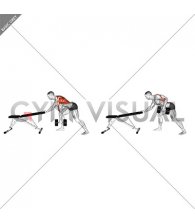 Dumbbell Kroc Row (male)
