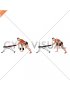 Dumbbell Kroc Row (male)
