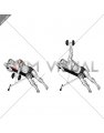 Dumbbell Powell Raise (male)
