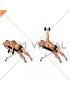 Dumbbell Powell Raise (male)