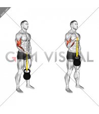 Resistance Band Weighted Standing Pronation Twist Curl (Arm Wrestler)