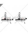 Kettlebell Sitting Tibialis Press