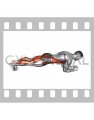 Plank on Elbows Toe Tap (male)