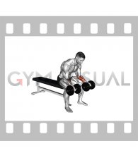 Dumbbell Seated Palms-up Wrist Curl