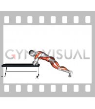 Elevated Lunge T Spine Rotation (male)