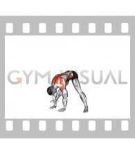 Standing Forward Bent Alternating Twist (male)