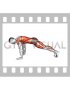High Plank to Frog Squat (male)