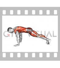 High Plank to Frog Squat (male)
