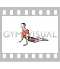 Cobra to Side Shoulder Stretch (male)