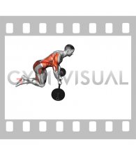 Barbell Side Rollout