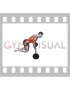 Barbell Spiderman Rollout